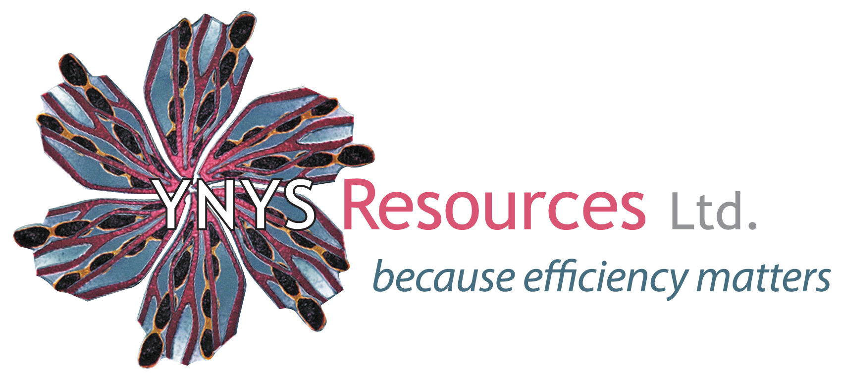 Logo for Ynys Resources Ltd